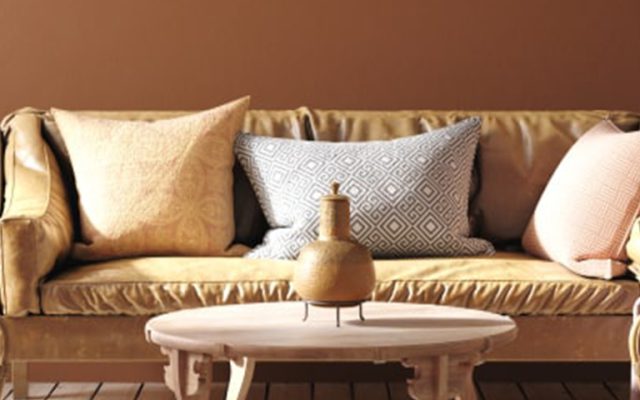 Want to Know the Top 2022 Colour Trends?